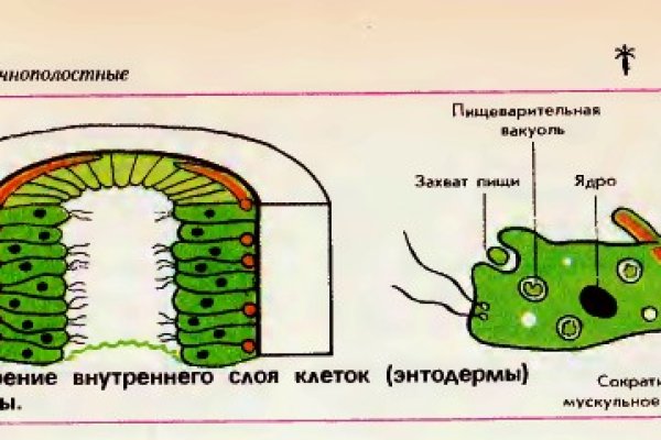 Kraken найдется все