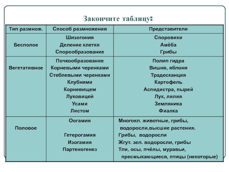 Кракен сайт kr2web in официальный ссылка