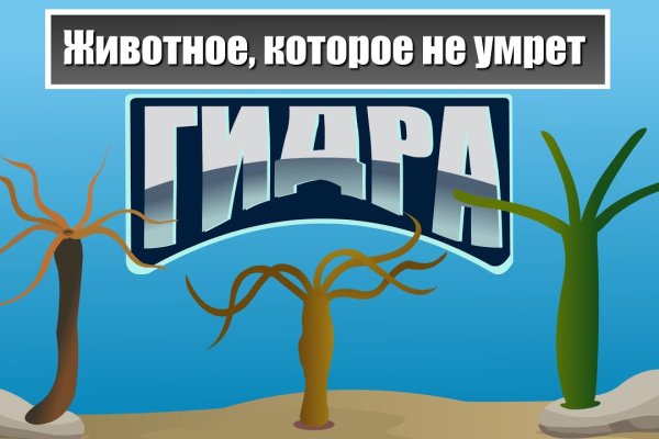 Зеркала на кракен kraken014 com