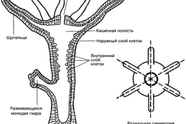 Кракен наркомаркетплейс